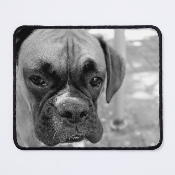 Item preview, Dino the Boxer.. sad day designed and sold by Evita.