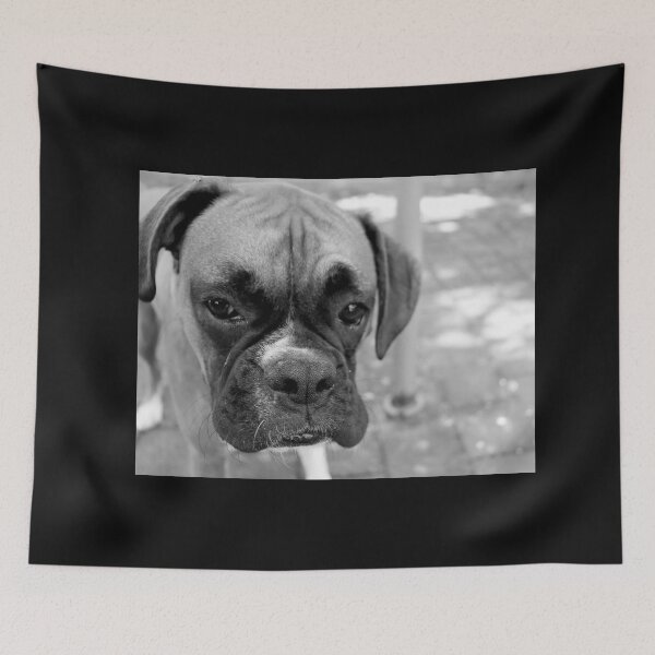 Item preview, Dino the Boxer.. sad day designed and sold by Evita.