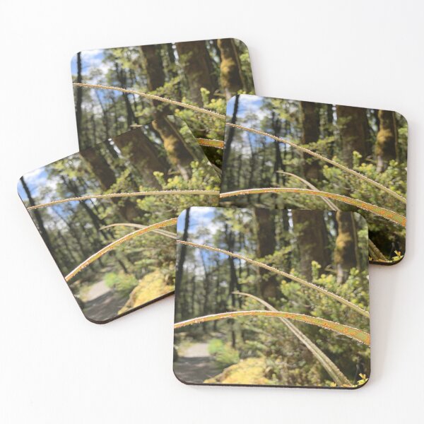 Item preview, Astelia  designed and sold by Terra Dumont.