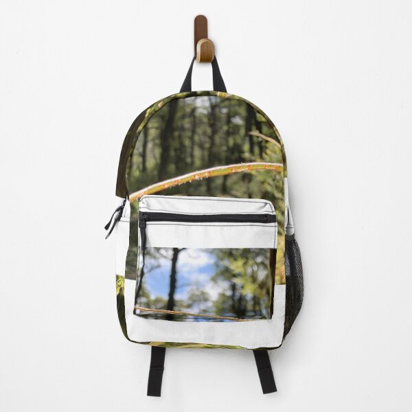 Item preview, Astelia  designed and sold by Terra Dumont.