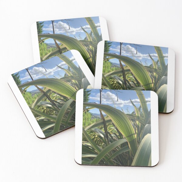 Item preview, Harakeke in the sun designed and sold by Terra Dumont.