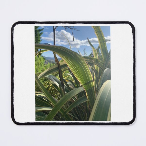 Item preview, Harakeke in the sun designed and sold by Terra Dumont.