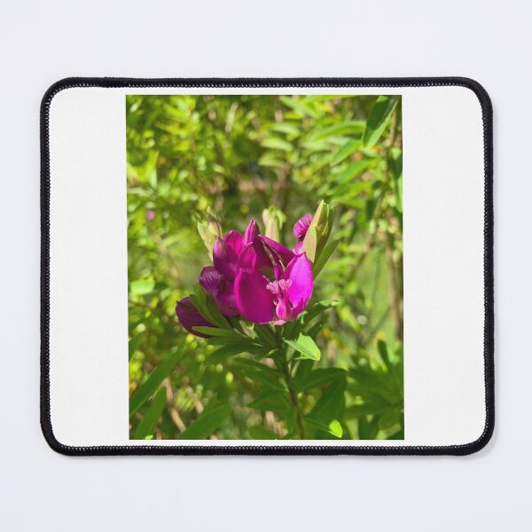 Item preview, Purple flower designed and sold by Terra Dumont.