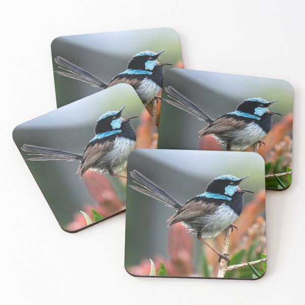 Item preview, Superb Fairy-wren in Callistemon designed and sold by RAFImages.