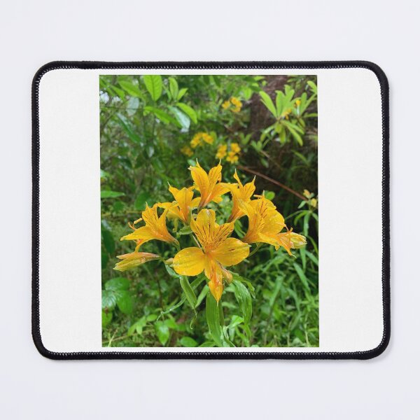 Item preview, Lily in the rain designed and sold by Terra Dumont.