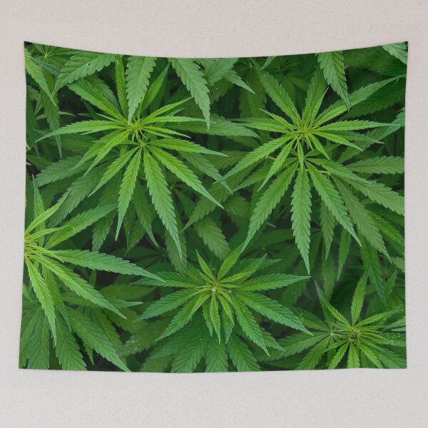 Item preview, Marijuana Cannabis Weed Pot Plants designed and sold by MarijuanaTshirt.
