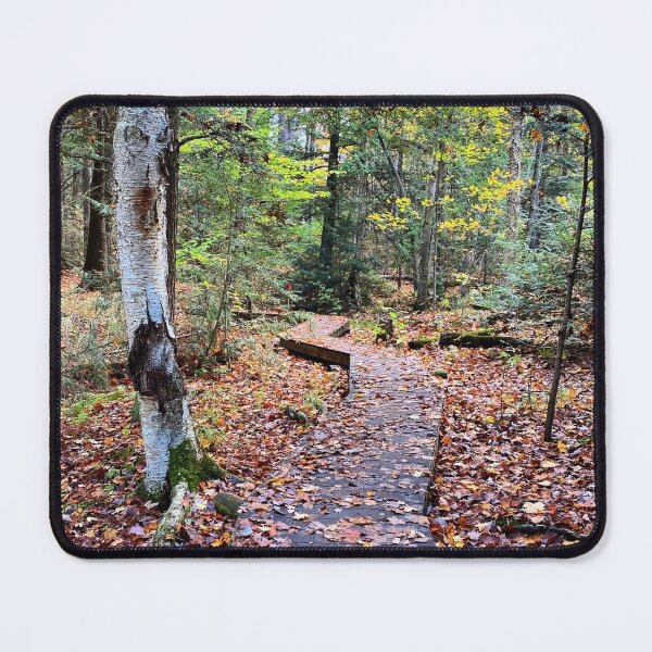 Item preview, Fall leaves cover a path through the forest designed and sold by ClarissaFlora.