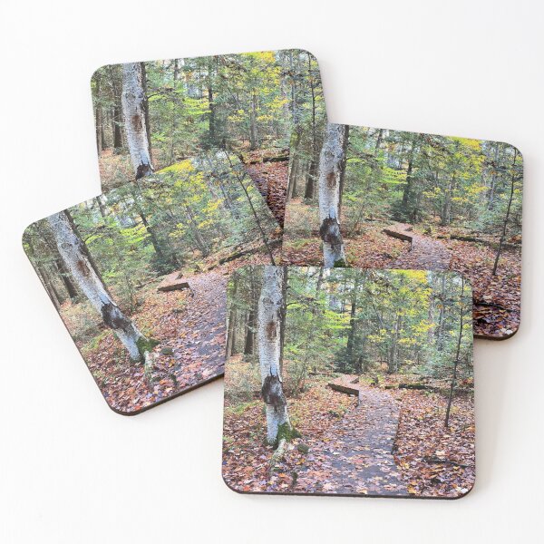 Item preview, Fall leaves cover a path through the forest designed and sold by ClarissaFlora.