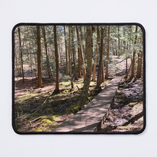 Item preview, Glorious summer hike in the forest designed and sold by ClarissaFlora.