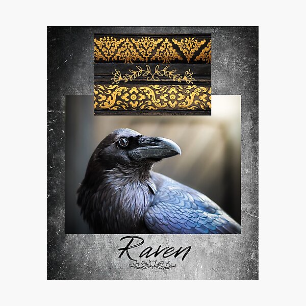 Harbinger Crow Raven Gnarled Art Print Antique Effect Paper Buy 2 Get 1 free