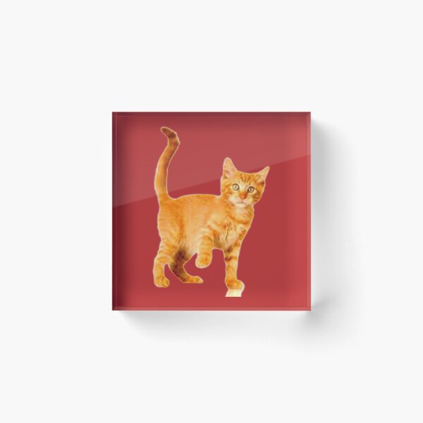 Item preview, Jorts The Cat                   designed and sold by SNKRFREAK.