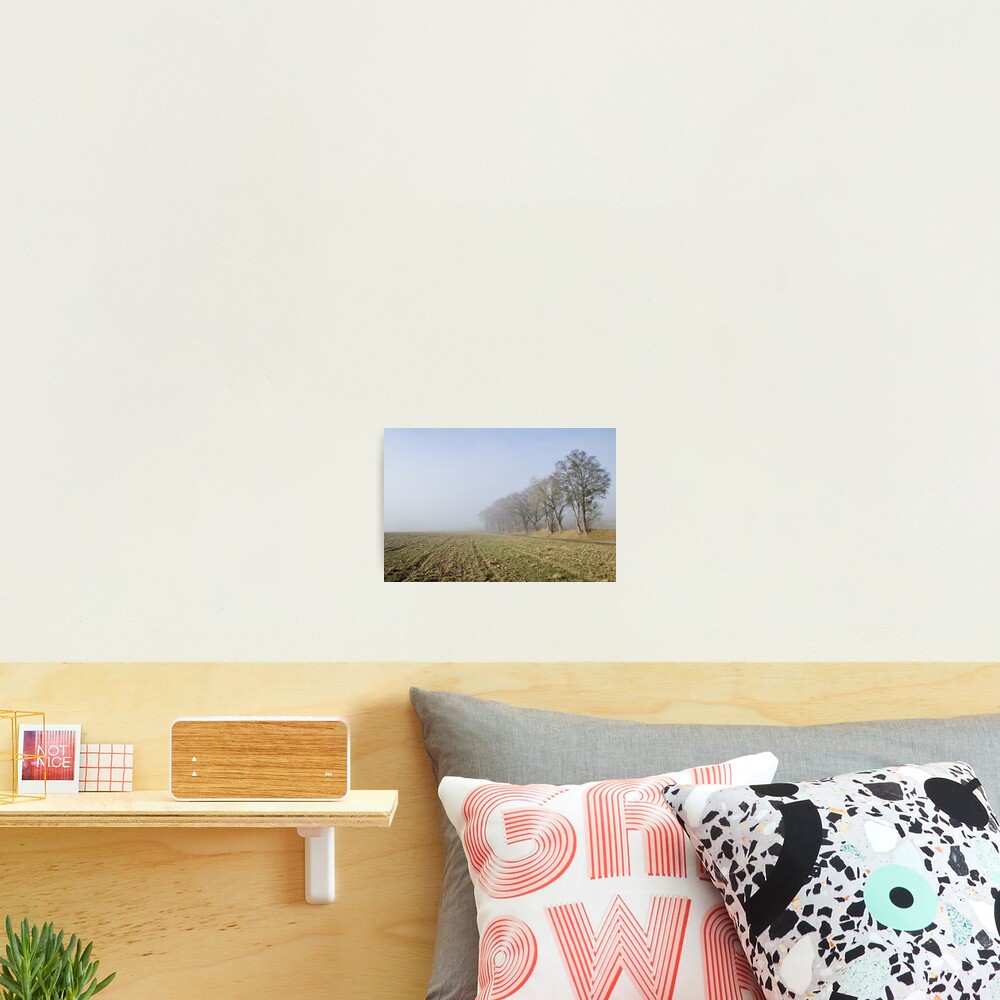 First day of winter Photographic Print
