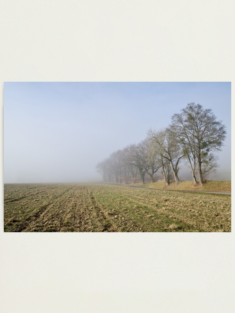 Alternate view of First day of winter Photographic Print
