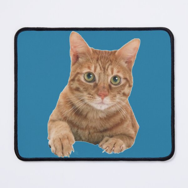 Item preview, Jorts the cat designed and sold by SNKRFREAK.
