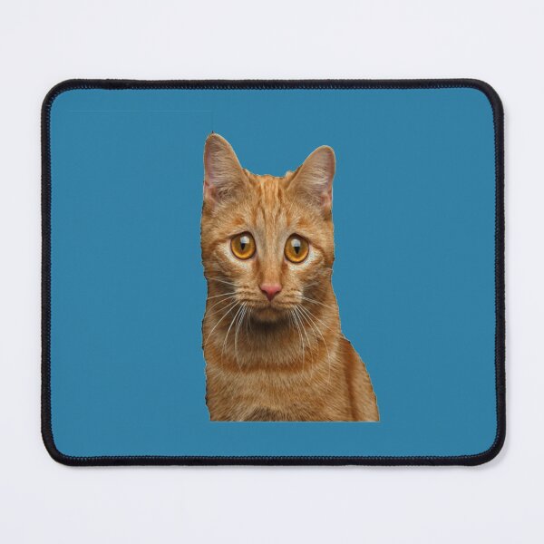 Item preview, Jorts The Cat designed and sold by SNKRFREAK.