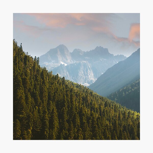 Item preview, Mountain View’s Pine Trees Mother Nature,Wilderness, designed and sold by HeatherAP.