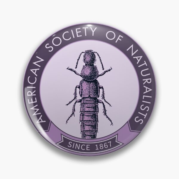 Item preview, Rove Beetle (Violet) designed and sold by American Society of Naturalists.