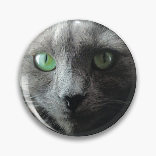 Item preview, Stunning green eyed grey cat designed and sold by PandLcreations.