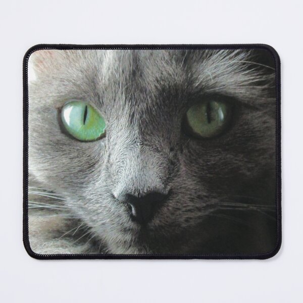 Item preview, Stunning green eyed grey cat designed and sold by PandLcreations.