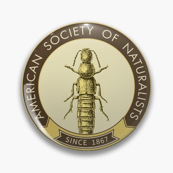 Item preview, Rove Beetle (Yellow) designed and sold by American Society of Naturalists.