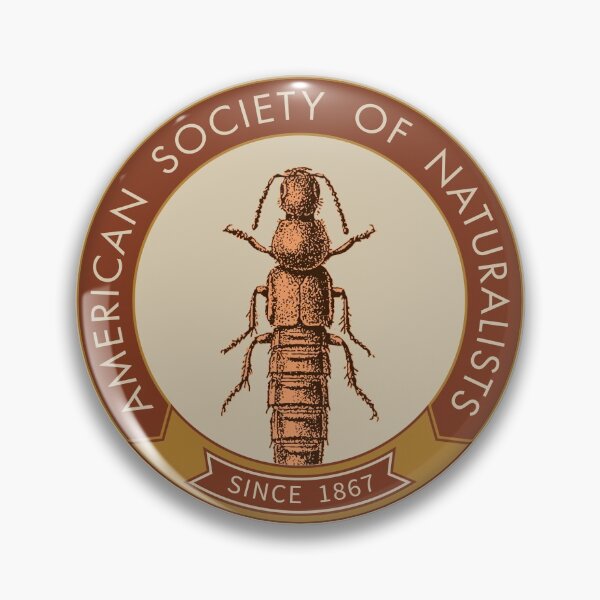 Item preview, Rove Beetle (Orange) designed and sold by American Society of Naturalists.