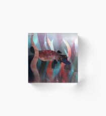Netter Schwimmen Herr. Schnabeltier Acrylblock