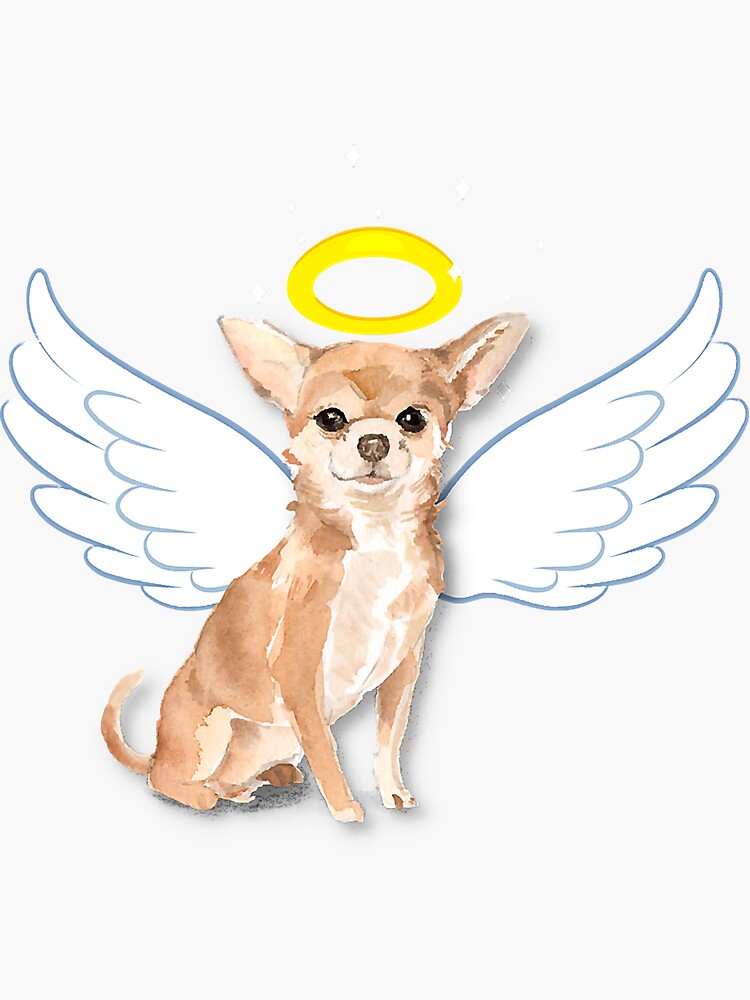 Chihuahua angel best sale