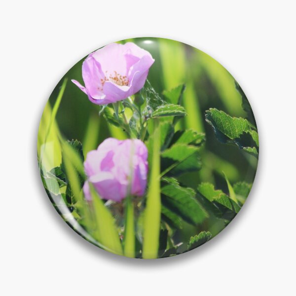 Item preview, Alberta's Wild Rose designed and sold by Alyce Taylor.