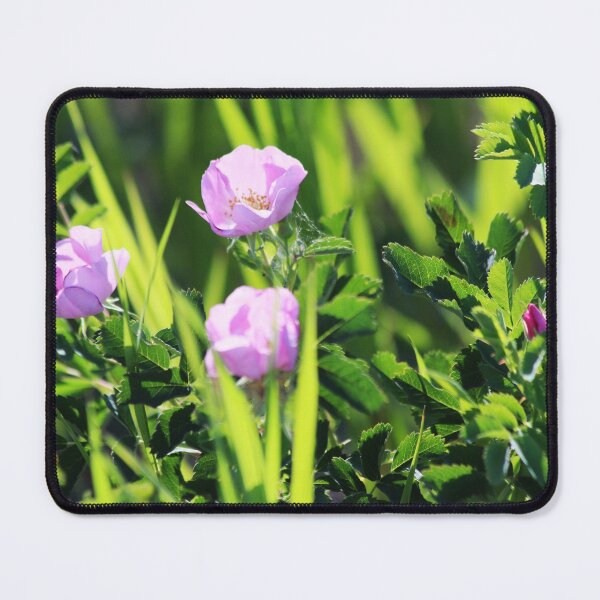 Item preview, Alberta's Wild Rose designed and sold by Alyce Taylor.
