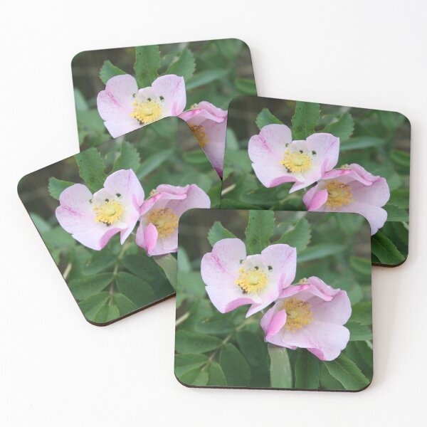 Item preview, Alberta Rose designed and sold by Alyce Taylor.