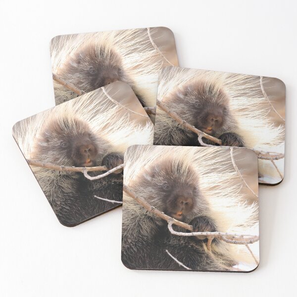 Item preview, Porcupine designed and sold by Alyce Taylor.