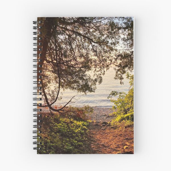 Item preview, Sunset magical walk to the lake designed and sold by ClarissaFlora.