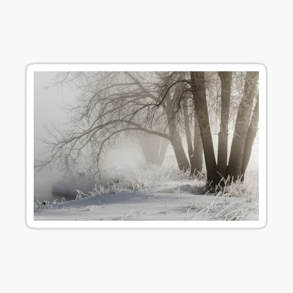 Etched By Snow - Sawhill Carvings Sticker