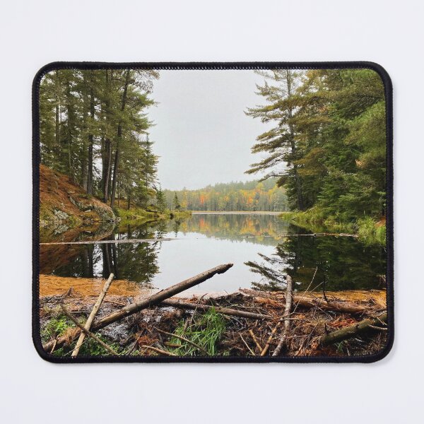 Item preview, Beaver pond at Algonquin Park designed and sold by ClarissaFlora.