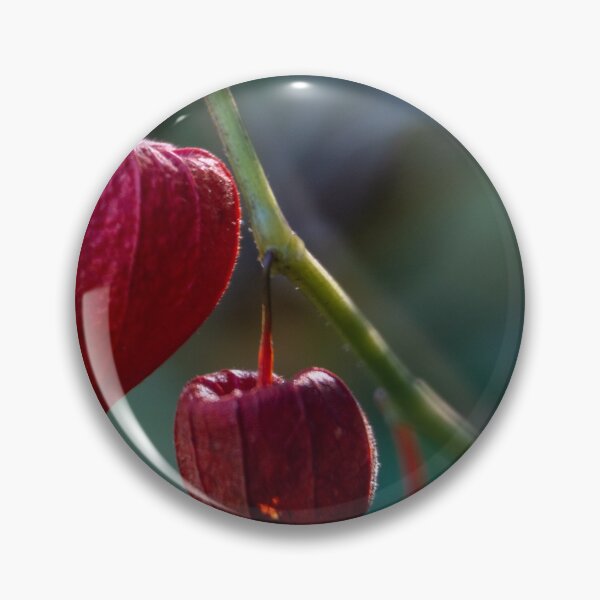Item preview, Chinese lantern designed and sold by immortalzoddo.