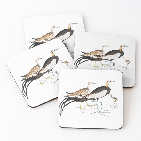 Item preview, Chinese Parra Vintage Illustration by John Edward Gray designed and sold by Happy-Trails.