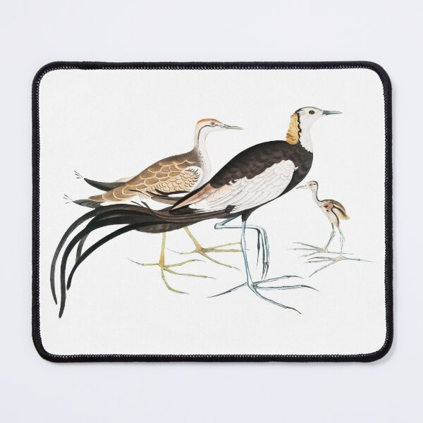 Item preview, Chinese Parra Vintage Illustration by John Edward Gray  designed and sold by Happy-Trails.