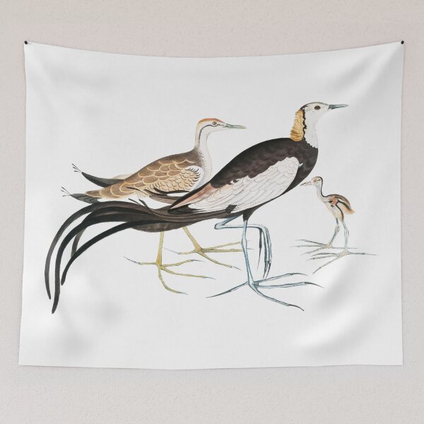 Item preview, Chinese Parra Vintage Illustration by John Edward Gray  designed and sold by Happy-Trails.