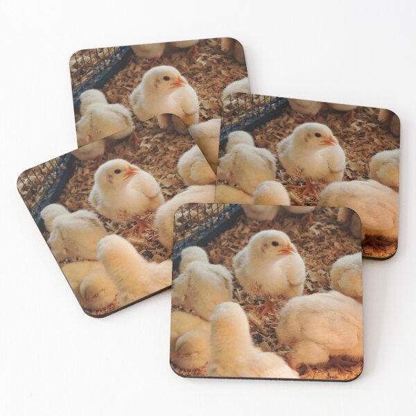 Item preview, WOKE Chick designed and sold by hamiltonphotos.
