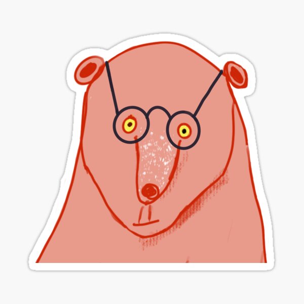 Studious Bear Face Drawing Sticker