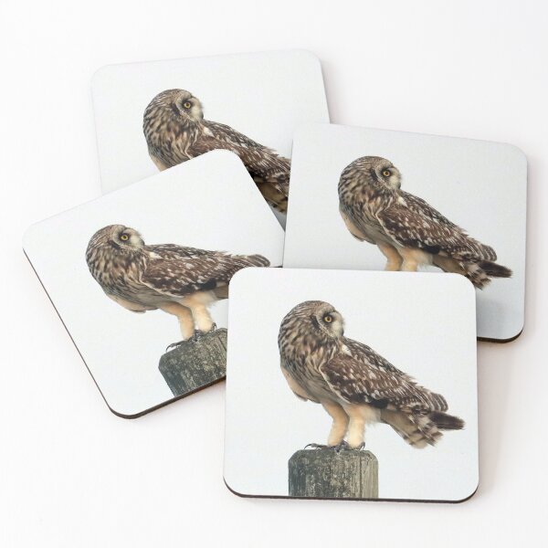 Item preview, Short Eared Owl designed and sold by Alyce Taylor.