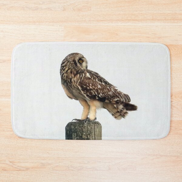 Item preview, Short Eared Owl designed and sold by Alyce Taylor.