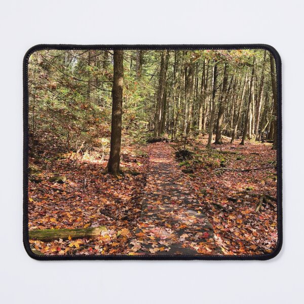 Item preview, A trail camouflaged by leaves designed and sold by ClarissaFlora.