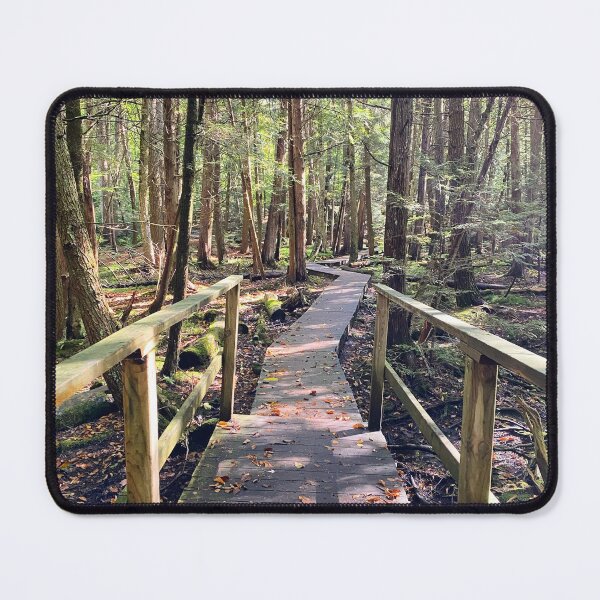 Item preview, Enchanted fall forest designed and sold by ClarissaFlora.
