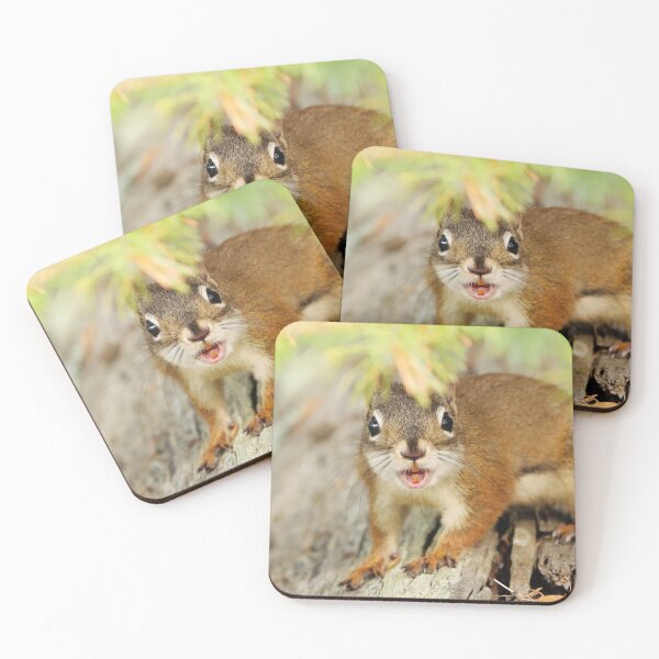 Item preview, Red Squirrel designed and sold by Alyce Taylor.