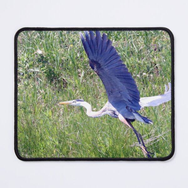 Item preview, Great Blue Heron designed and sold by Alyce Taylor.