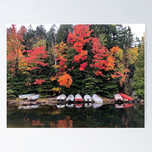 Item preview, Canoes at Algonquin Park during autumn designed and sold by ClarissaFlora.