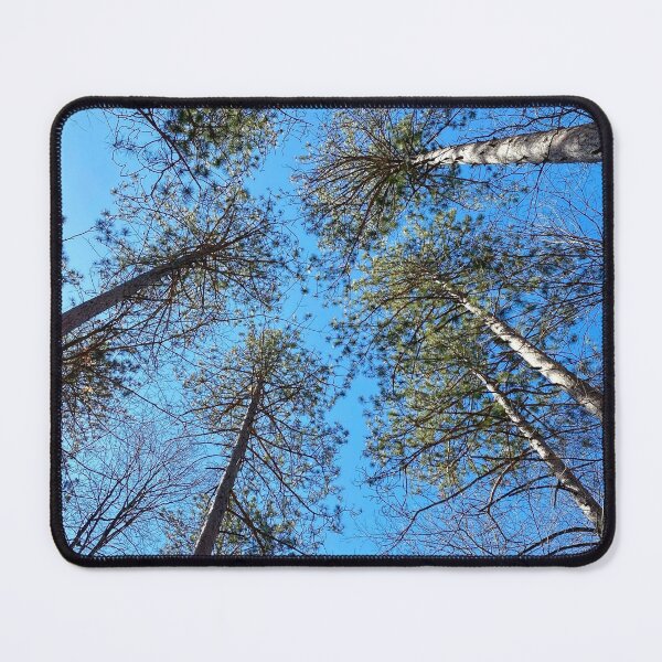 Item preview, Look up! designed and sold by ClarissaFlora.