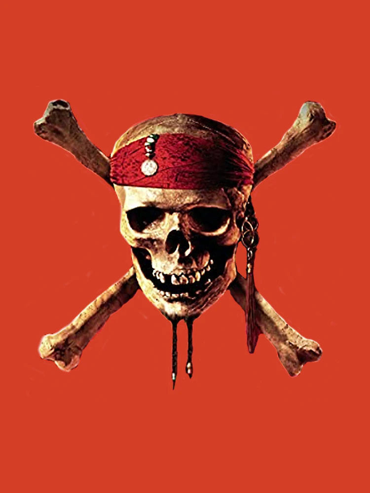 Jolly Roger Piratenflagge (verschiedene Größen) : Handgenäht, Totenkopf und  Kreuzknähte, Outdoor, Bootfahren