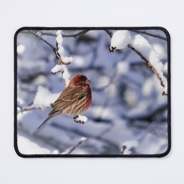 Item preview, Little House Finch In the Snow designed and sold by Thymely.